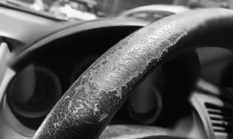 EL DESGASTE DE MATERIALES EN EL HABITÁCULO